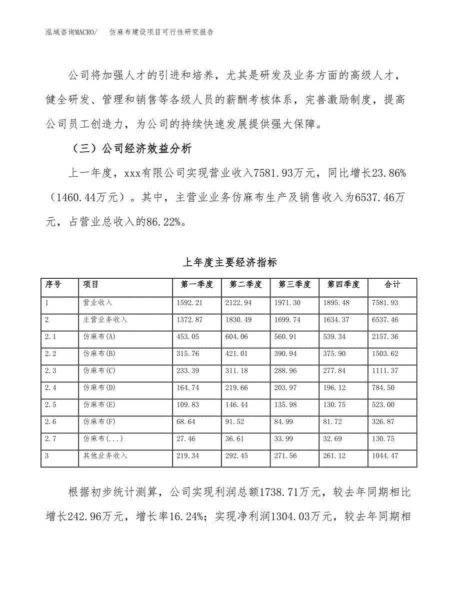 仿麻布建设项目可行性研究报告（word下载可编辑）_第5页