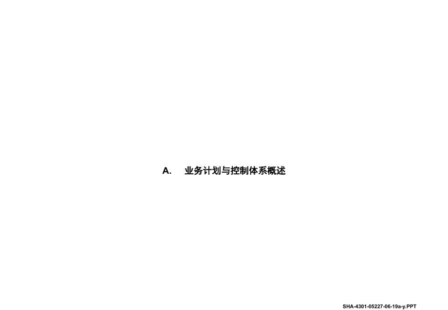 罗兰贝格长虹业务计划与控制体系最终报告.ppt_第3页