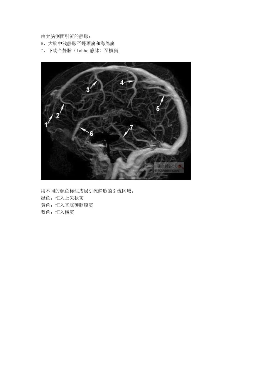 大脑的静脉系统(mrv)_第2页