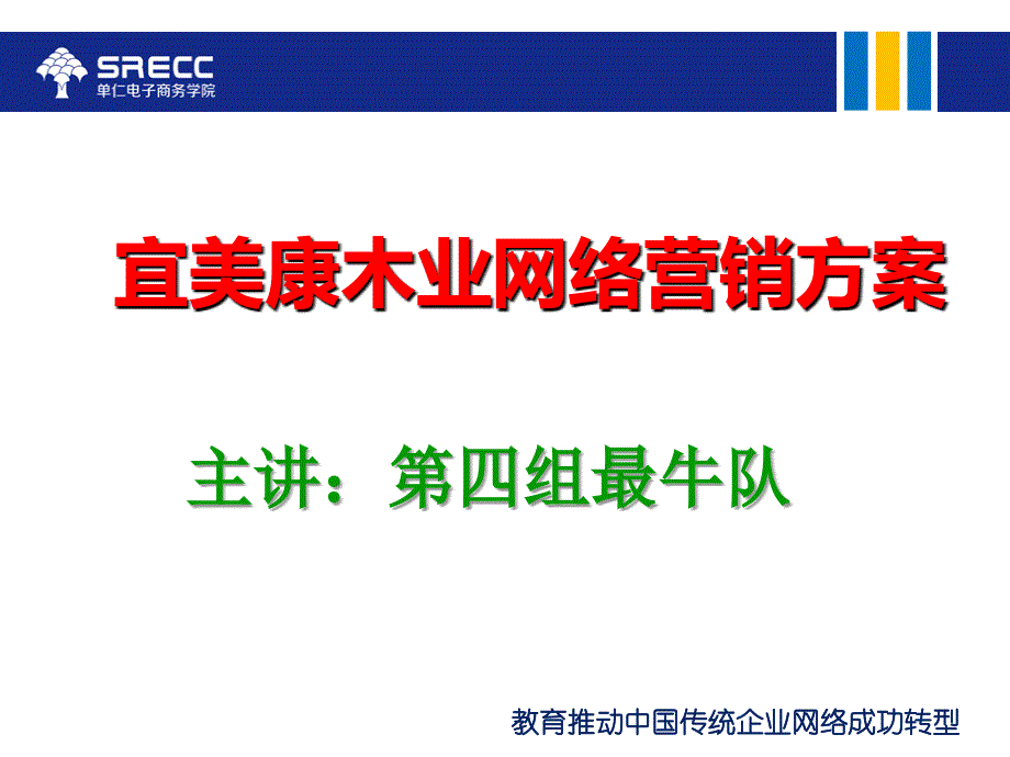 企业网络营销方案.ppt_第1页