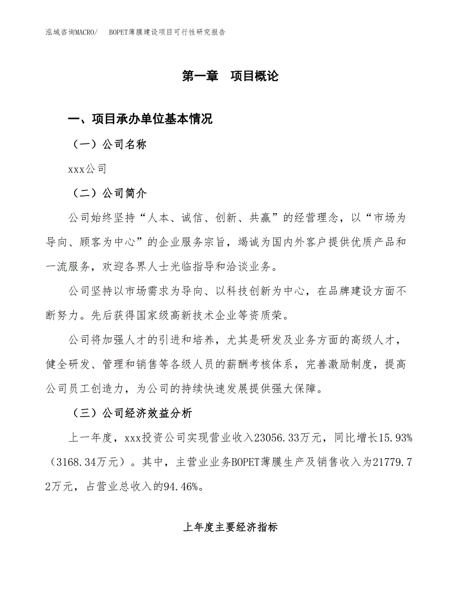 BOPET薄膜建设项目可行性研究报告（word下载可编辑）_第4页