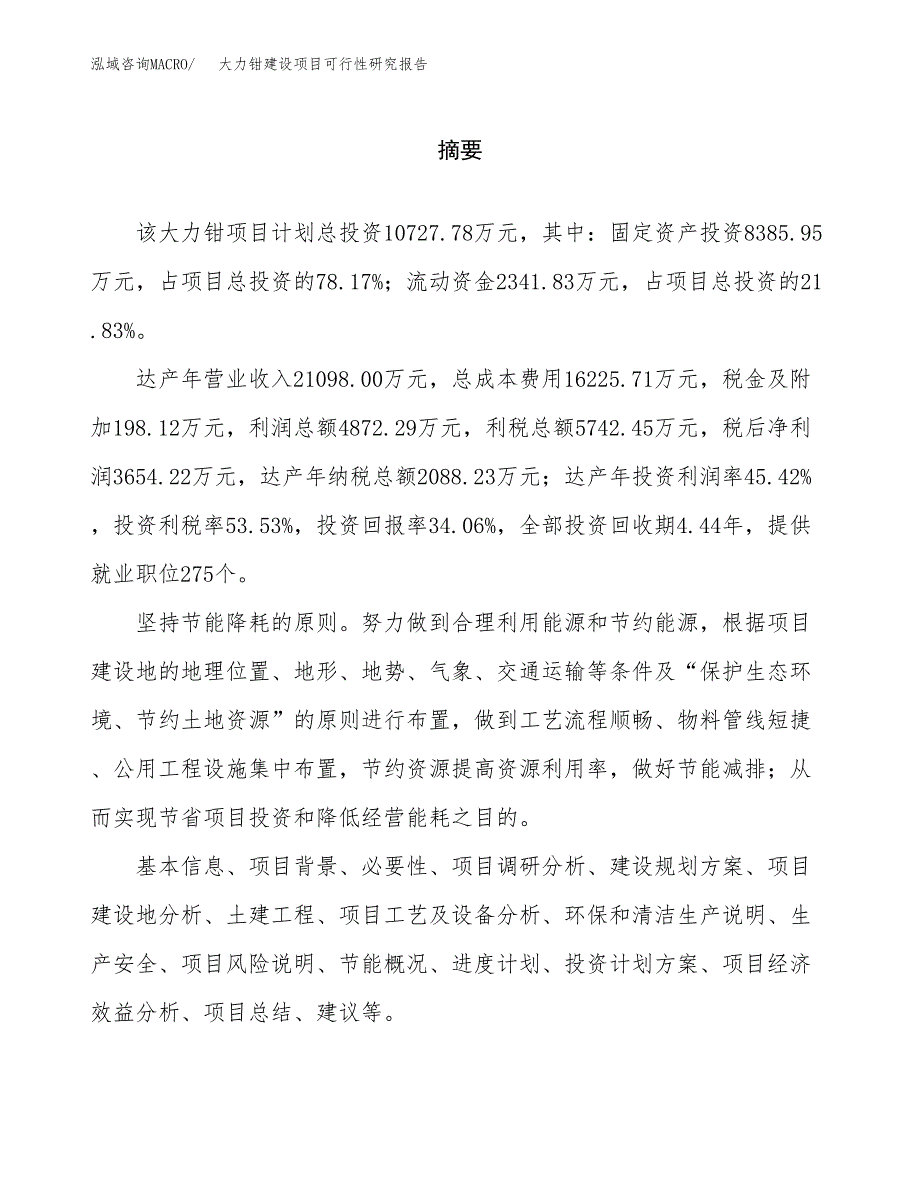 大力钳建设项目可行性研究报告（word下载可编辑）_第2页