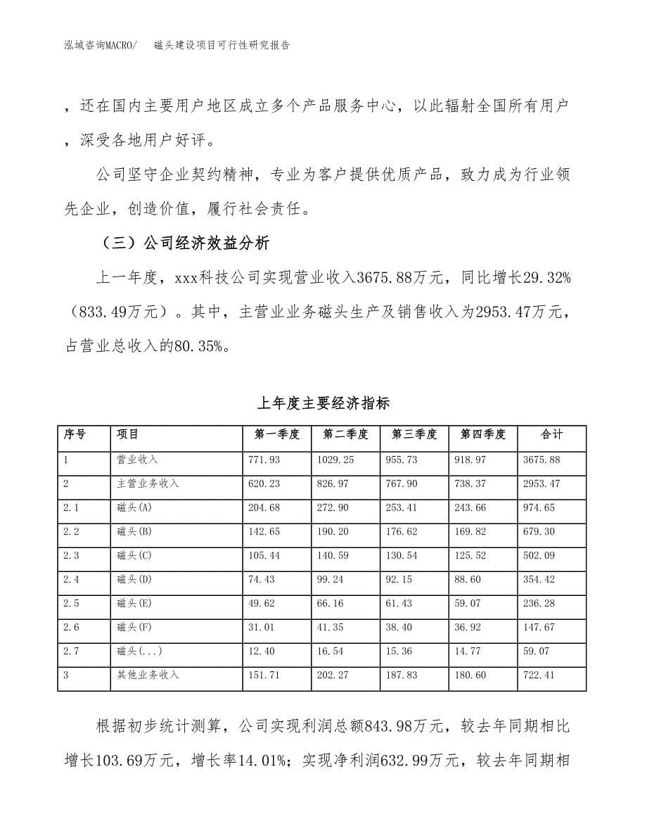 磁头建设项目可行性研究报告（word下载可编辑）_第5页