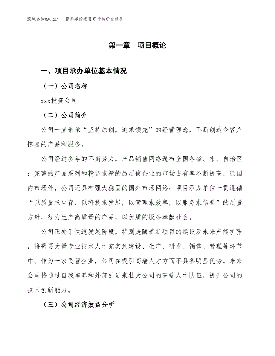 辐条建设项目可行性研究报告（word下载可编辑）_第4页