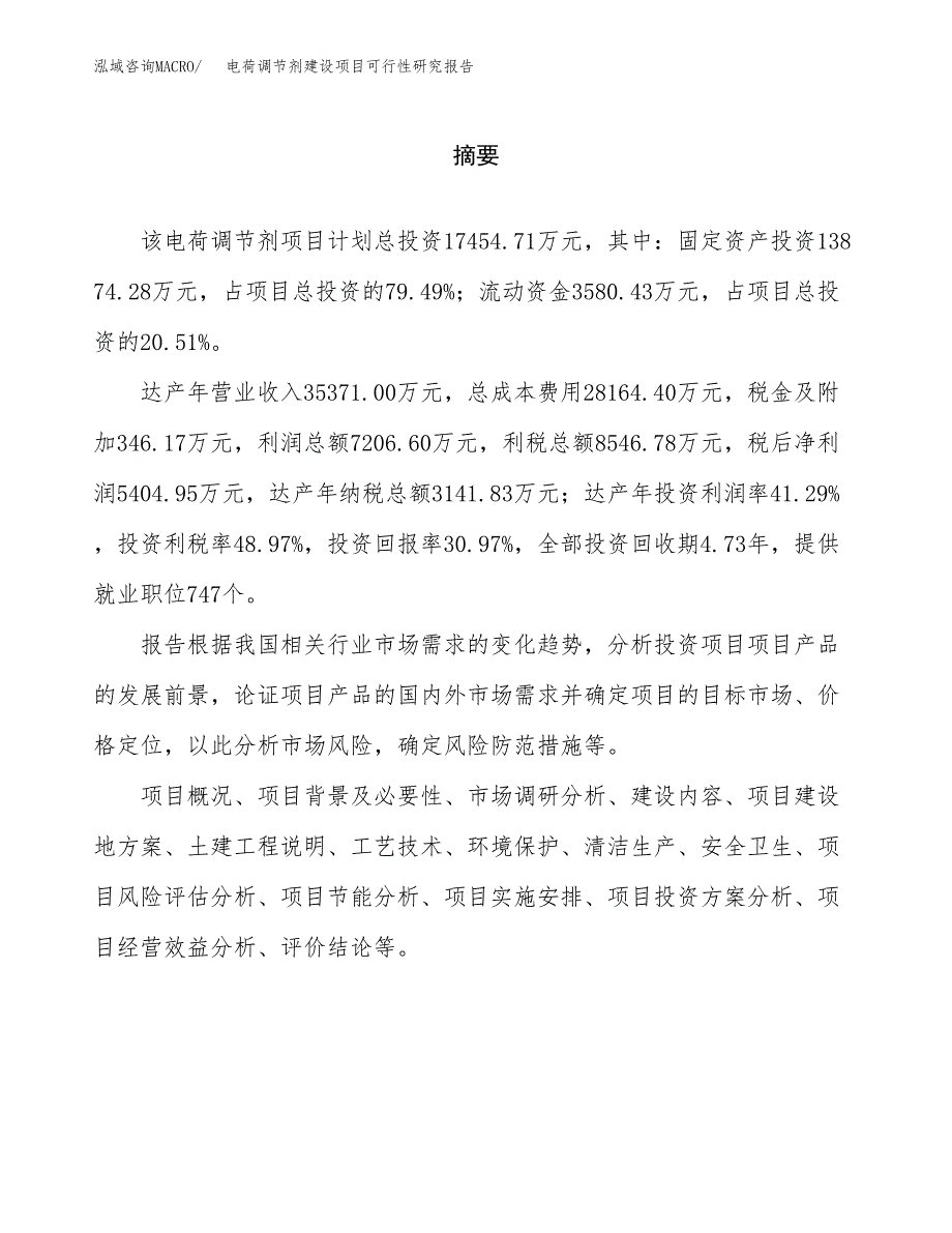 电荷调节剂建设项目可行性研究报告（word下载可编辑）_第2页