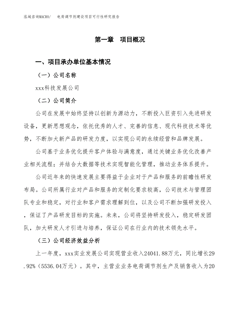 电荷调节剂建设项目可行性研究报告（word下载可编辑）_第4页