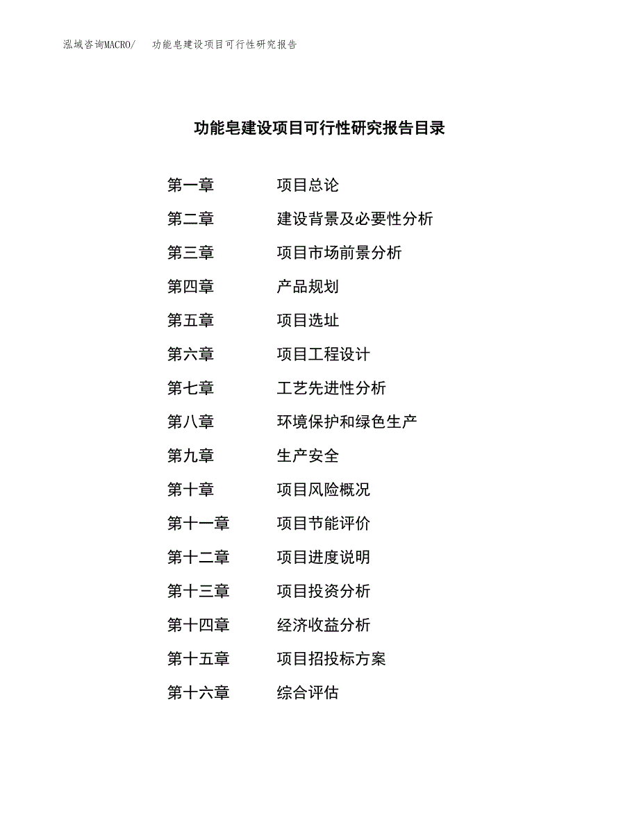 功能皂建设项目可行性研究报告（word下载可编辑）_第3页