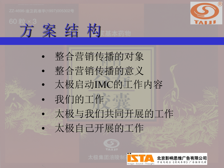 企业整合营销的传播方案.ppt_第2页