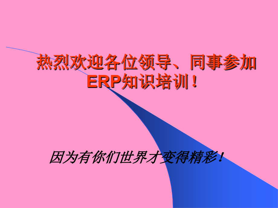 企业erp实施知识培训教材.ppt_第2页