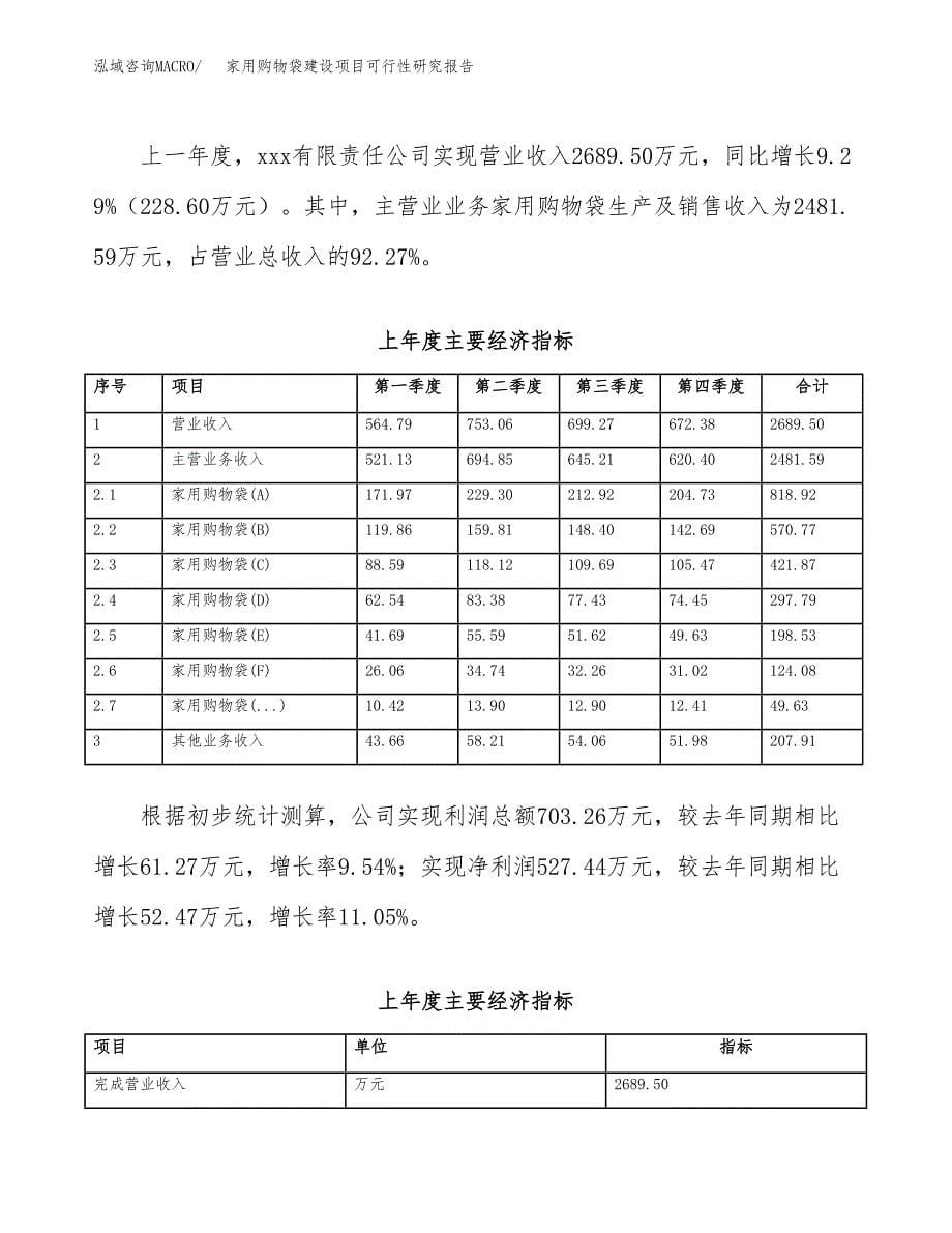 家用购物袋建设项目可行性研究报告（word下载可编辑）_第5页