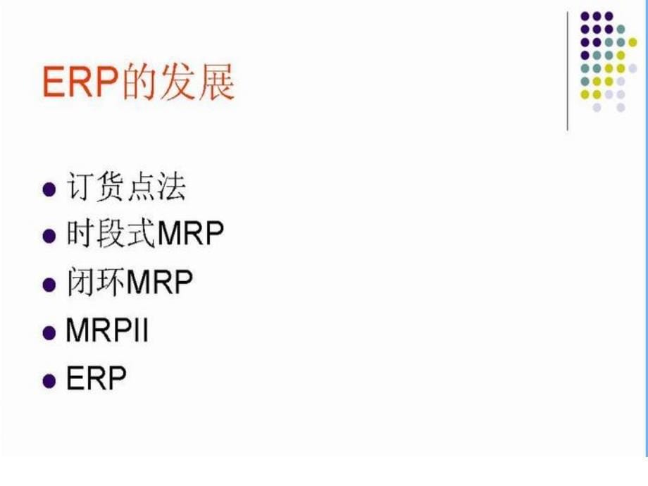 erp专业知识概述.ppt_第5页