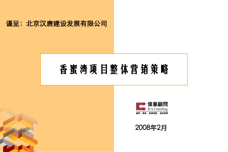 伟业顾问项目整体营销策略.ppt_第1页