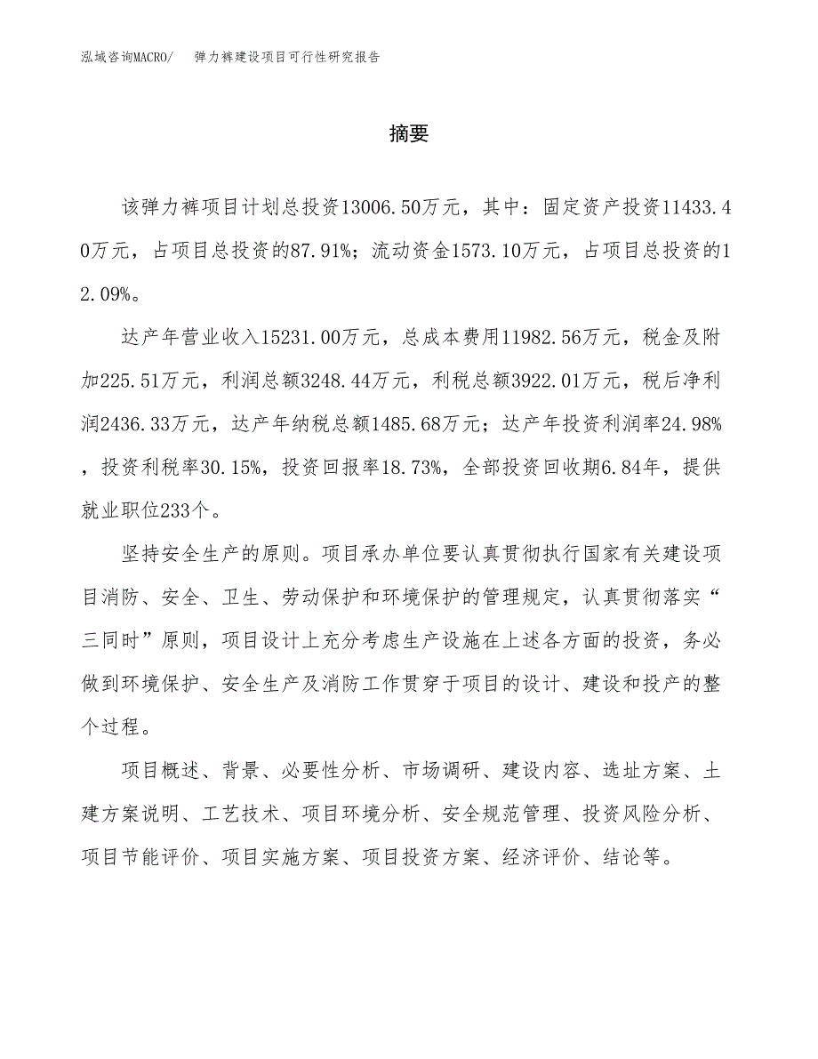 弹力裤建设项目可行性研究报告（word下载可编辑）_第2页