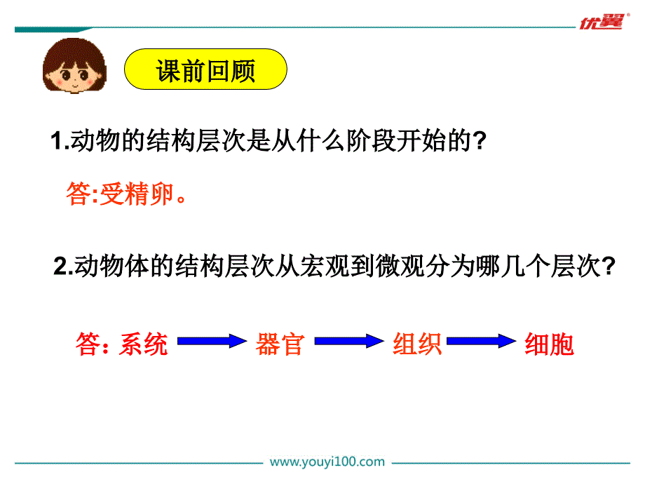 【人教版】2019学年七上生物：2.2.3.3-植物体的结构层次 教学课件_第2页