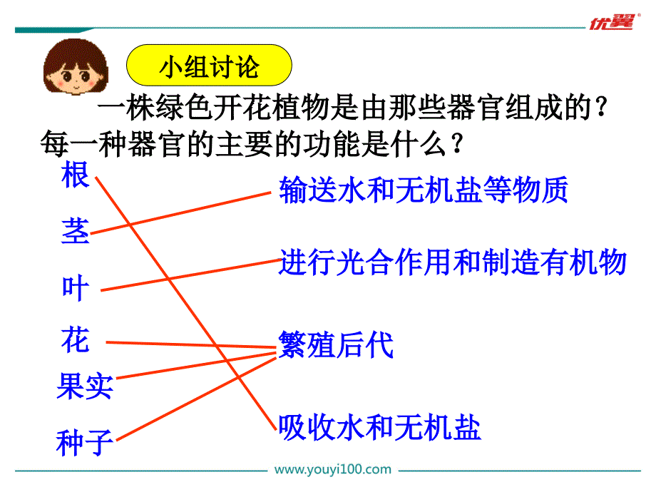 【人教版】2019学年七上生物：2.2.3.3-植物体的结构层次 教学课件_第3页