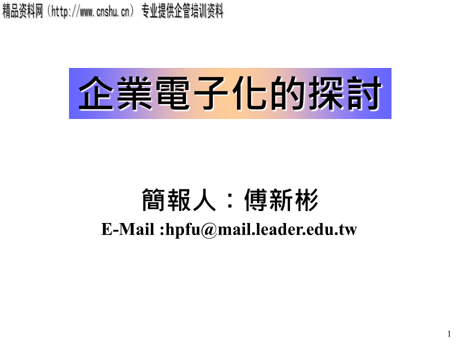 企业电子化的深入探讨.ppt_第1页