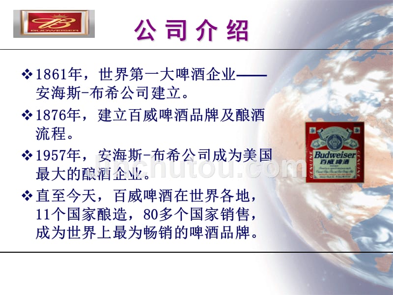 百威啤酒广告提案.ppt_第3页