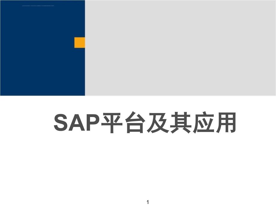 sap产品技术平台的演变与netweaver技术平台.ppt_第1页