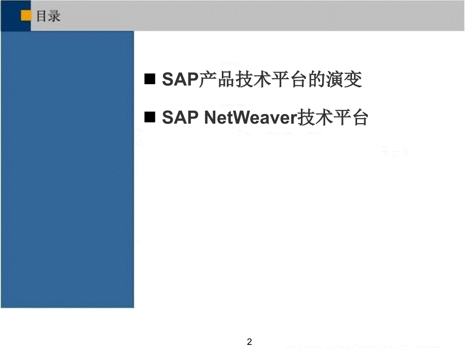 sap产品技术平台的演变与netweaver技术平台.ppt_第2页