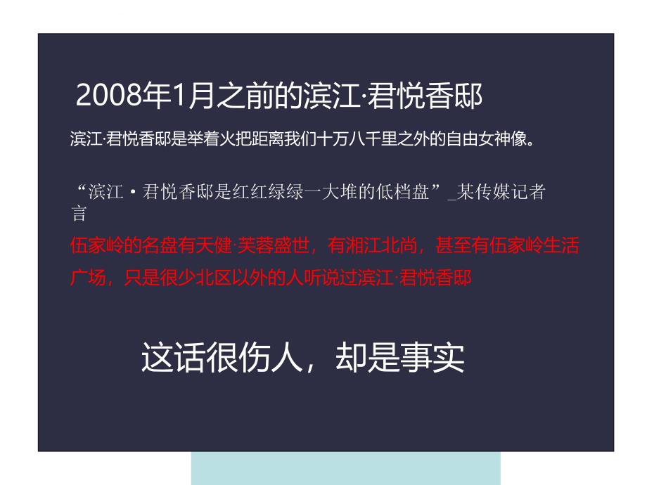 某某年长沙某项目策略推广汇报.ppt_第3页