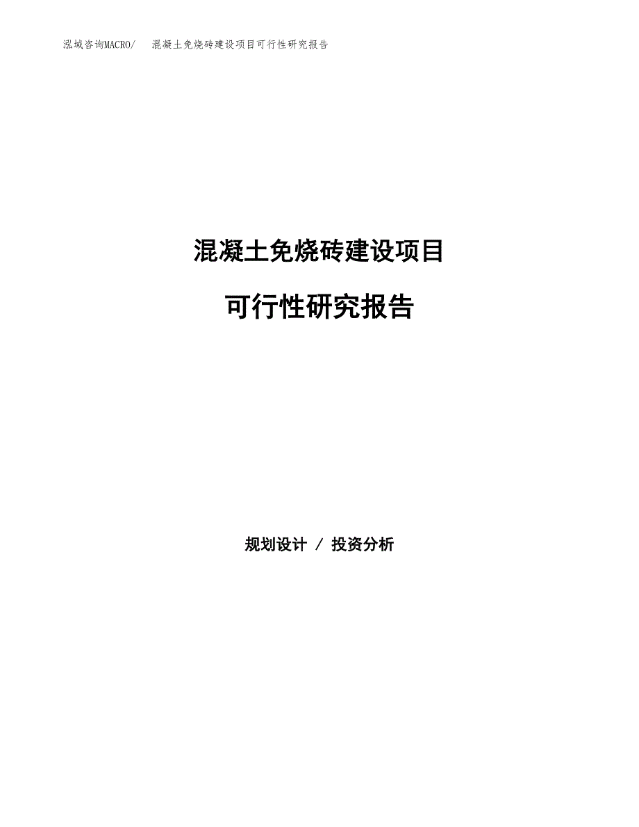 混凝土免烧砖建设项目可行性研究报告（word下载可编辑）_第1页