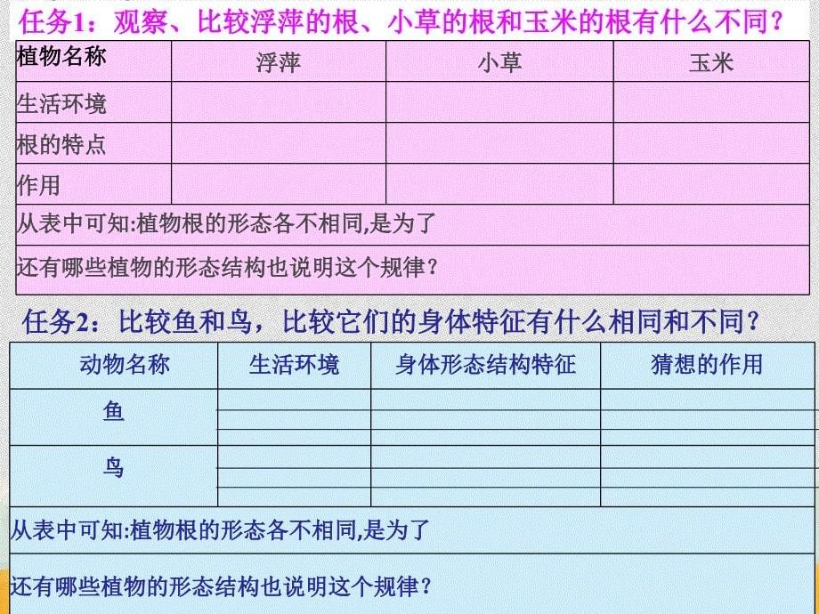 六年级上册科学课件-《4.6.原来是相互关联的》教科版 (共17张PPT)_第5页