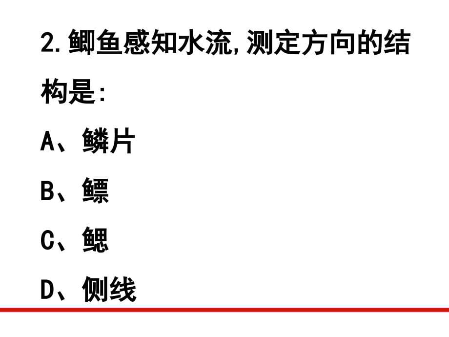 八年级生物上册复习课专用课件资料_第5页