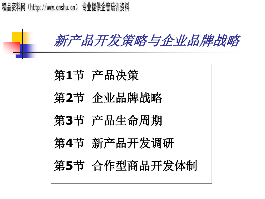 能源行业新产品开发策略与品牌战略_第1页