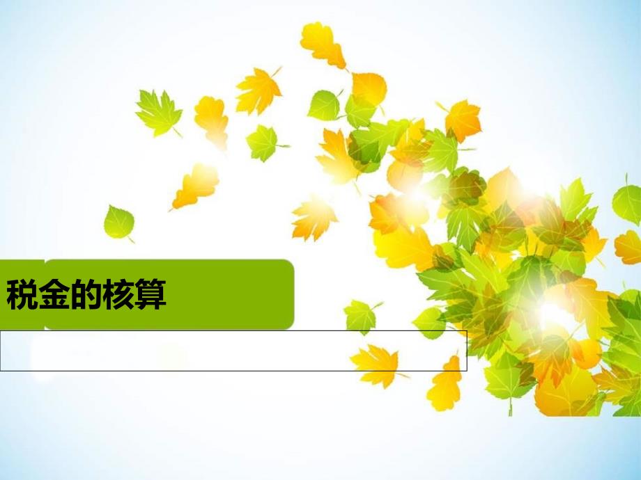 税金的核算培训资料_第1页