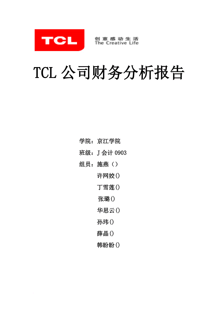tcl公司财务分析报告1.doc_第1页