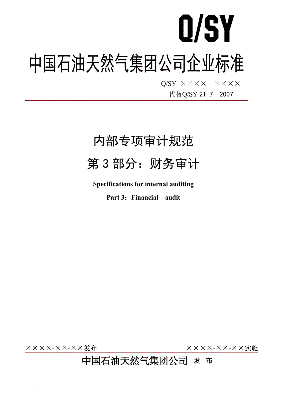 天然气公司内部专项审计规范财务审计.doc_第1页