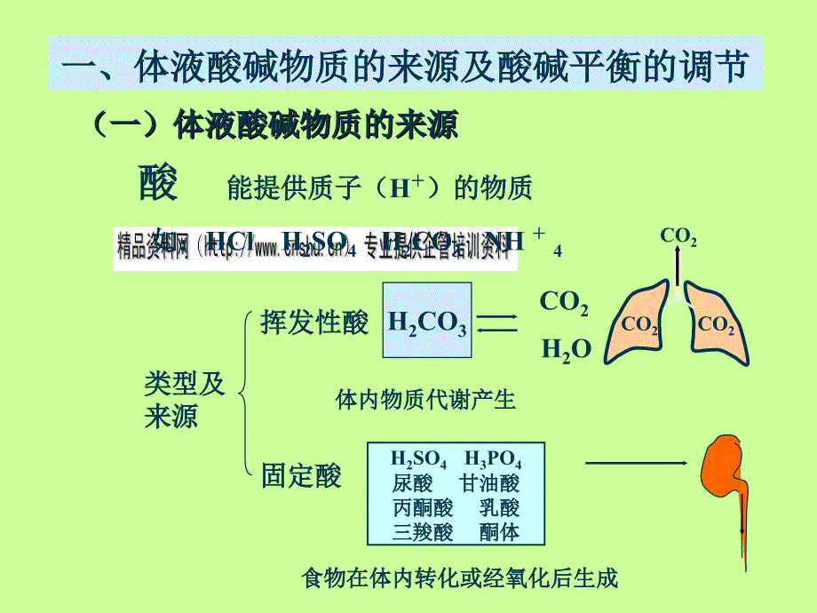 酸碱平衡紊乱专题讲坛_第4页