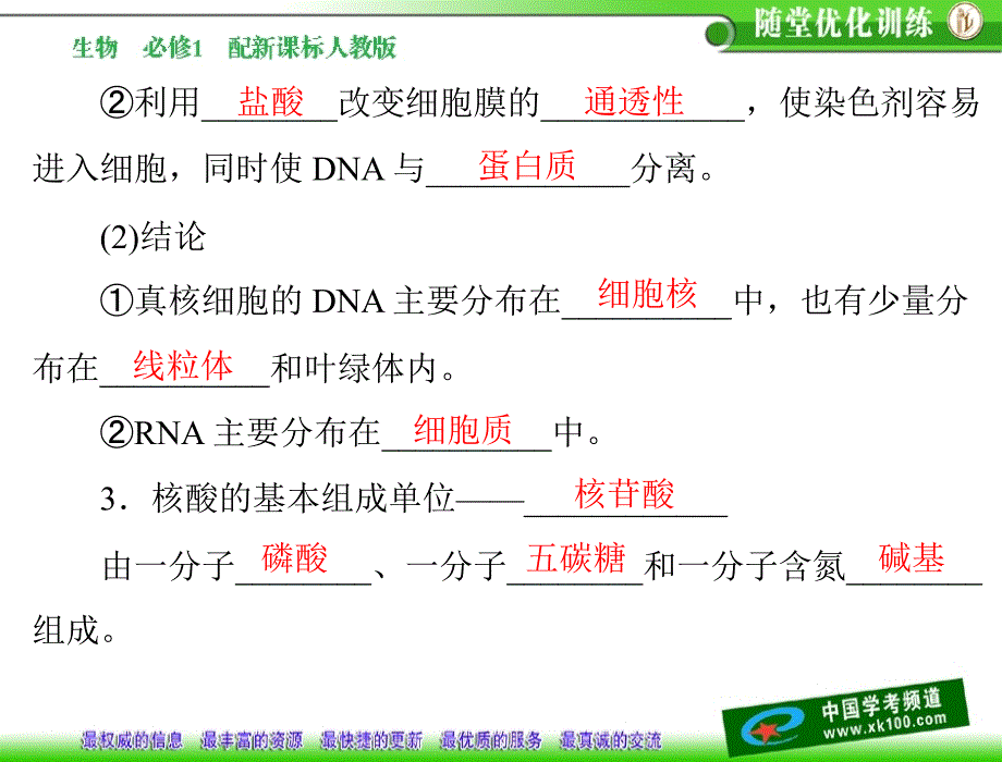 遗传信息的携带者核酸-(3)_第2页