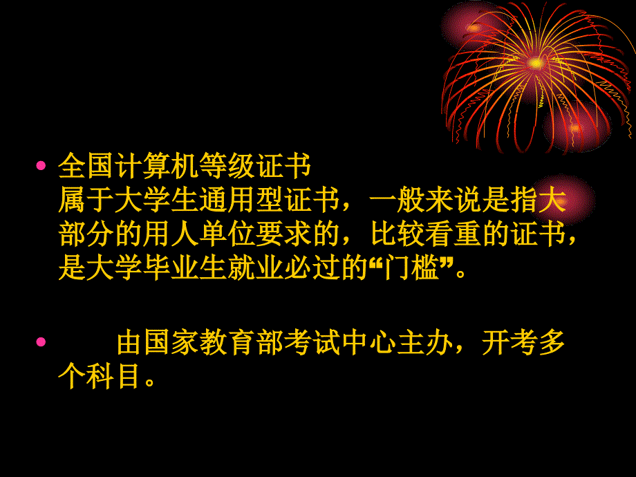 计算机应用与发展协会计算机等级考试课件_第2页