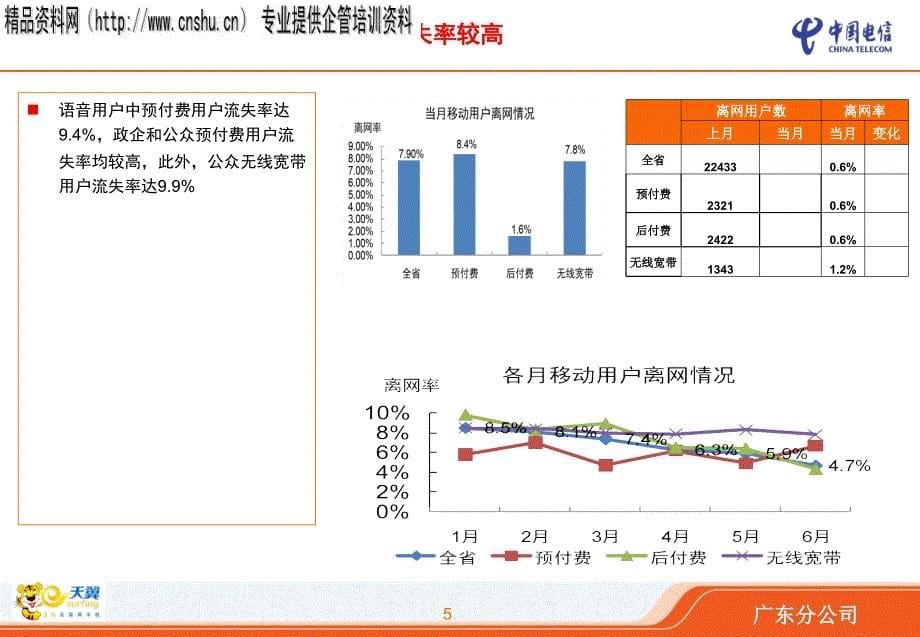 中国电信客户维系经营分析报告_第5页