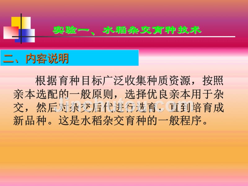 水稻杂交育种技术实验_第2页