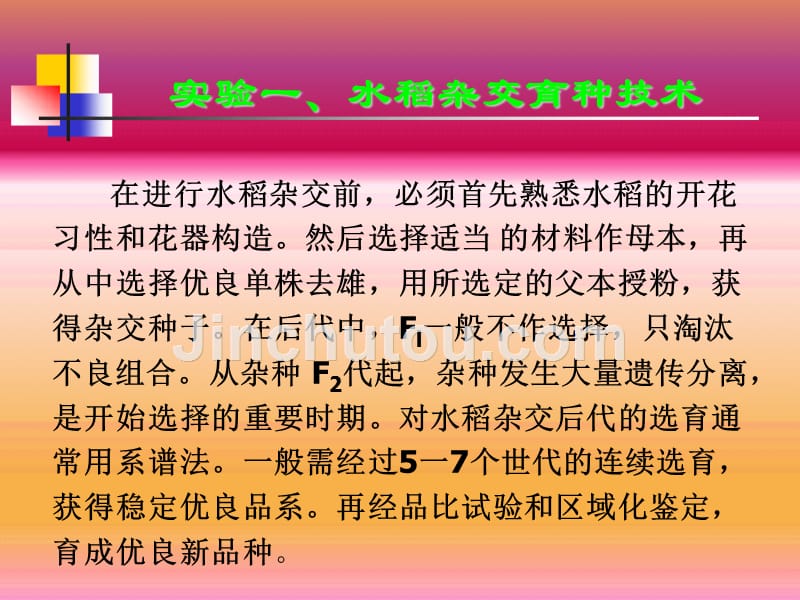 水稻杂交育种技术实验_第3页