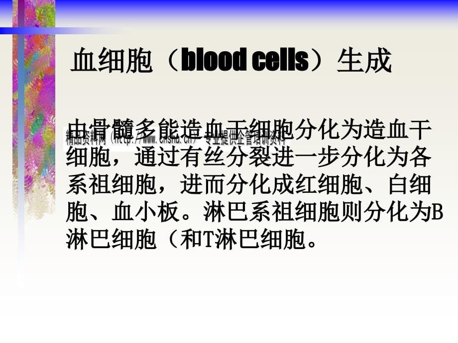 血液系统疾病病人护理知识概述_第5页
