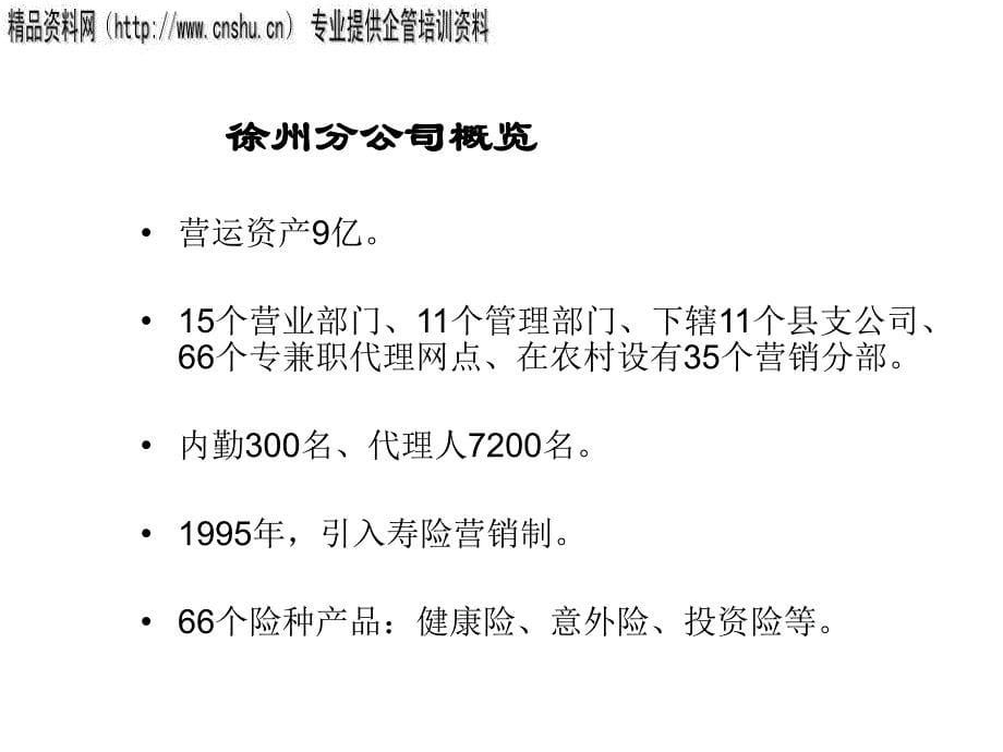 中国人寿保险公司发展总体概述_第5页