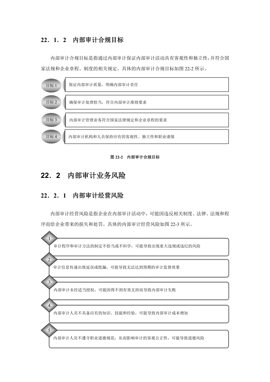 内部审计业务风险与业务流程.doc_第2页