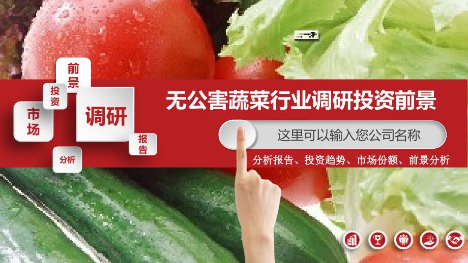 2019无公害蔬菜行业调研投资前景_第1页