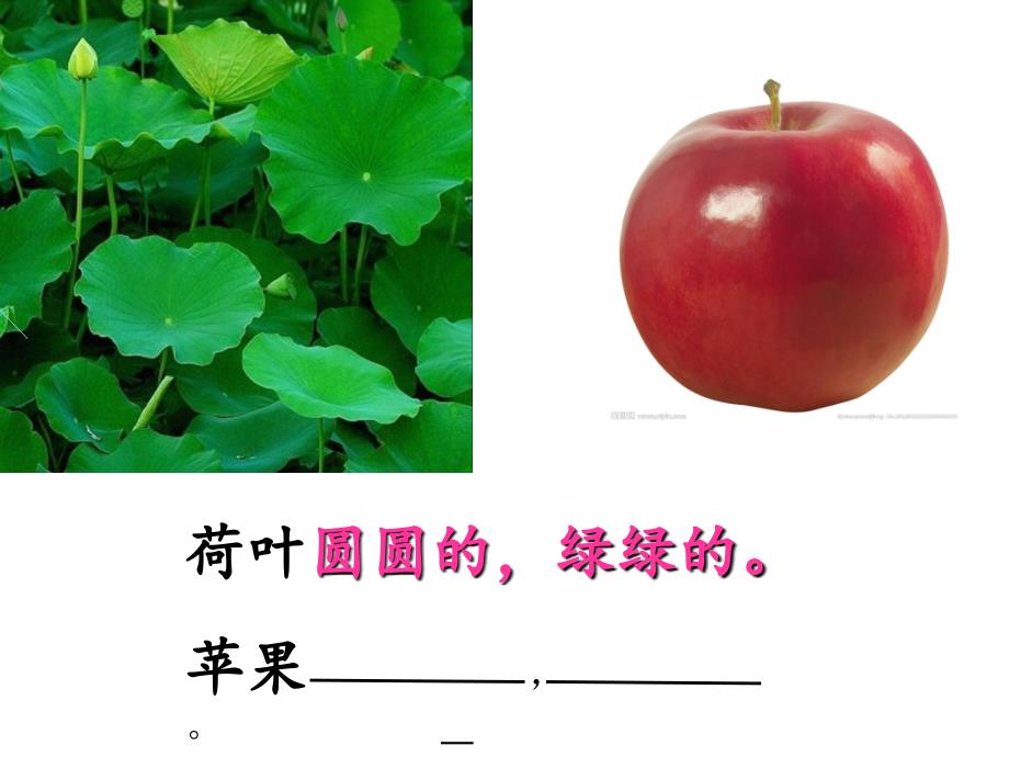 部编版一年级下册13.《荷叶圆圆》-[自动保存的]_第4页