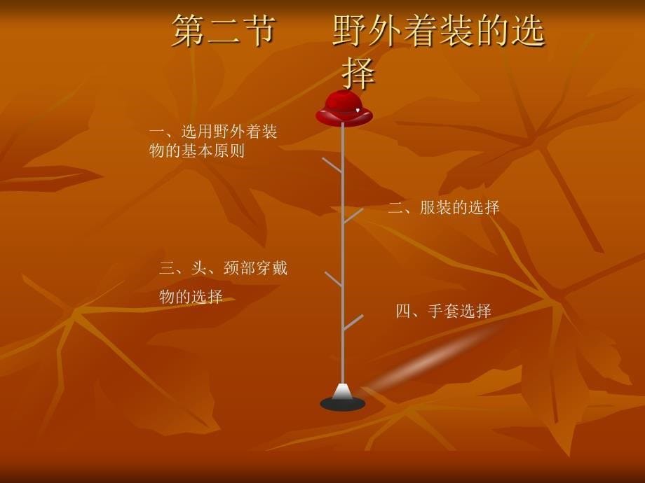 野外生存技巧 教学课件 ppt 作者 王健 主编01_第5页