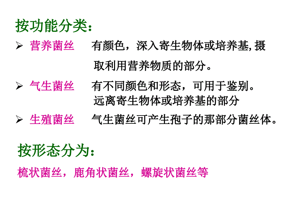 真菌概述_第4页