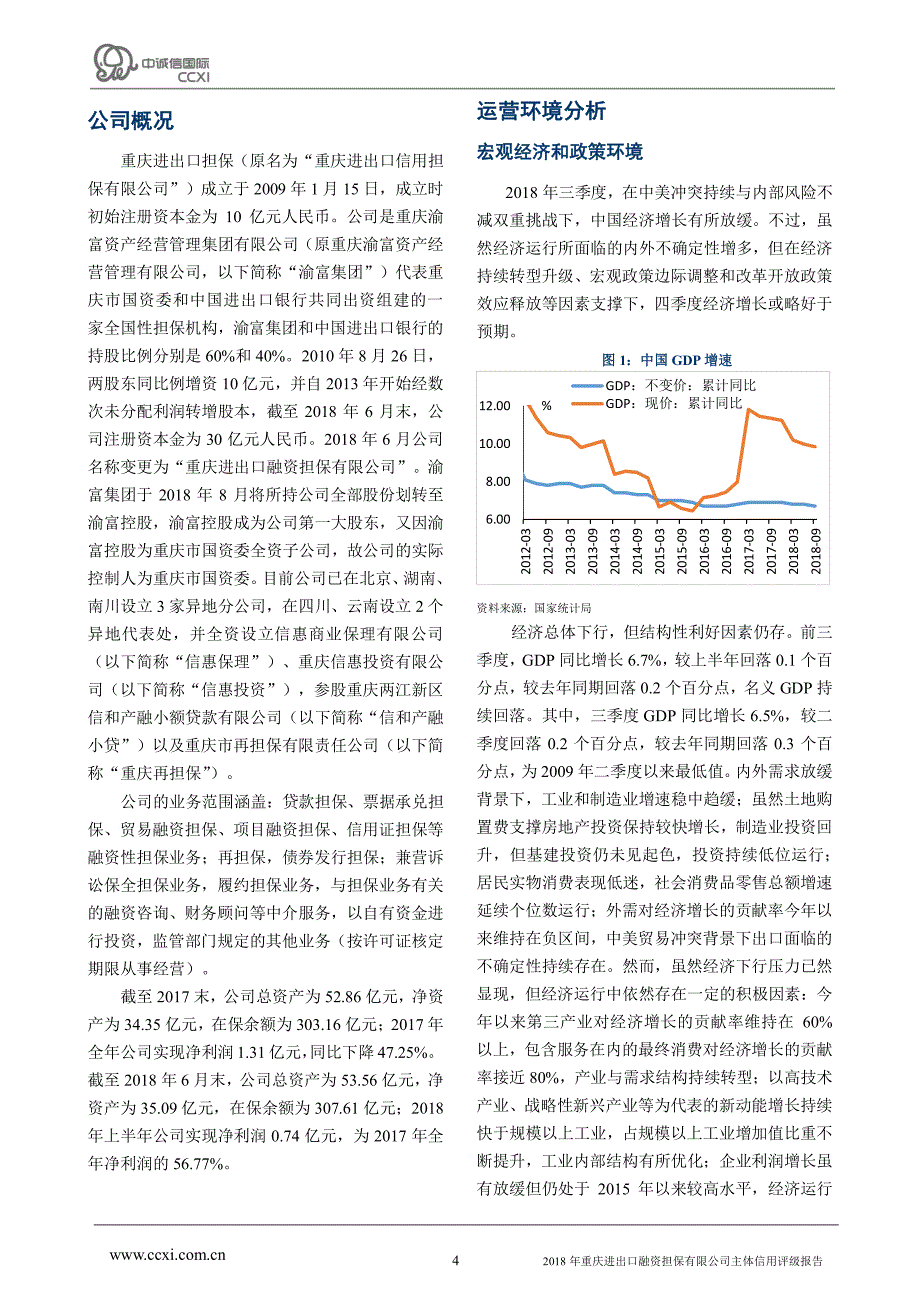 重庆进出口融资担保有限公司主体信用评级报告_第4页