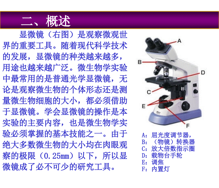 环境工程微生物学电子教案M1301实验一_第3页