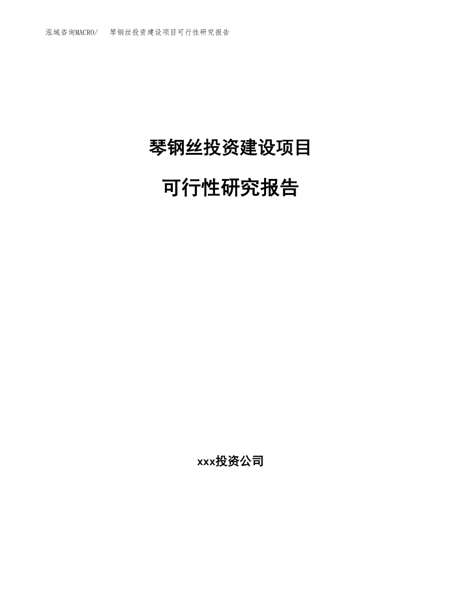 琴钢丝投资建设项目可行性研究报告（拿地模板）_第1页