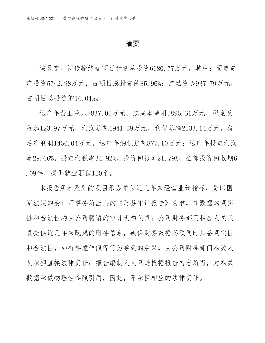 数字电视传输终端项目可行性研究报告(拿地模板).docx_第2页