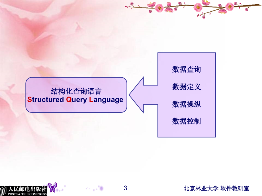 数据库原理及应用教程 第二版 普通高等教育十一五 国家级规划教材 教学课件 ppt 作者 陈志泊 第3章 SQL_第3页