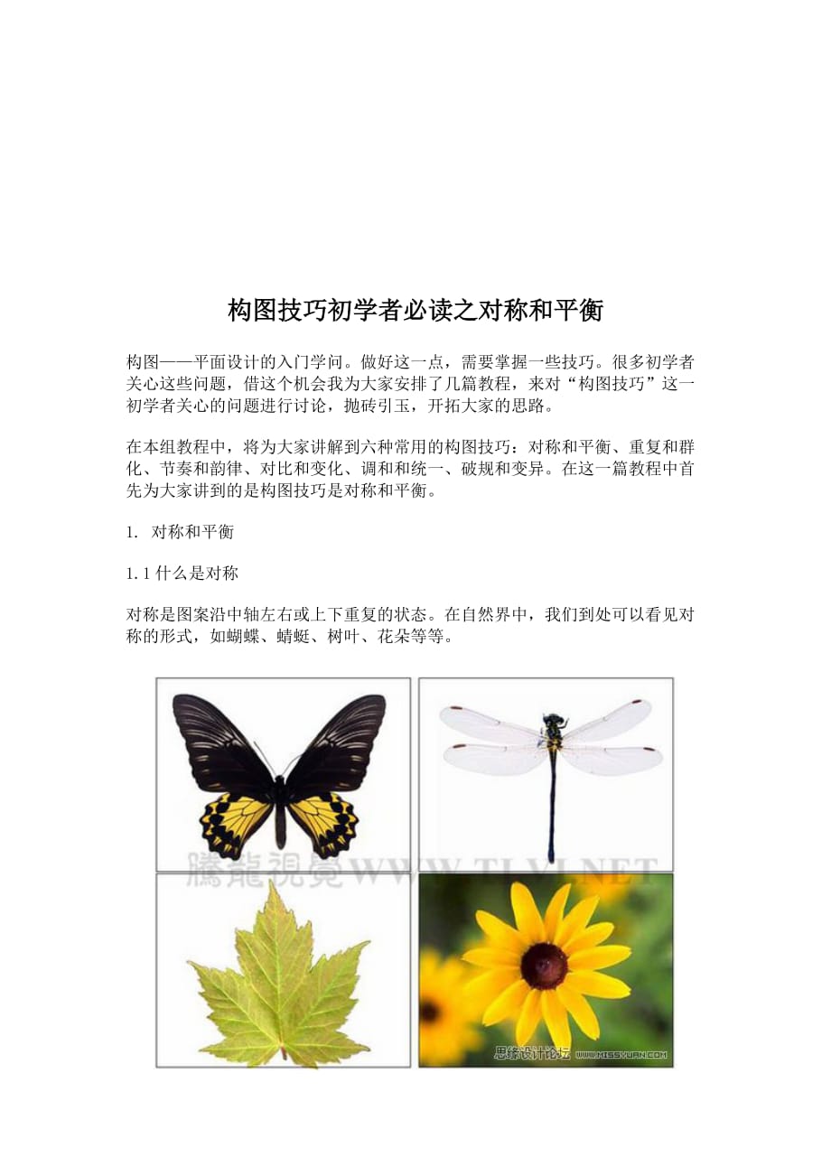 构图技巧之对称和平衡讲义.doc_第1页